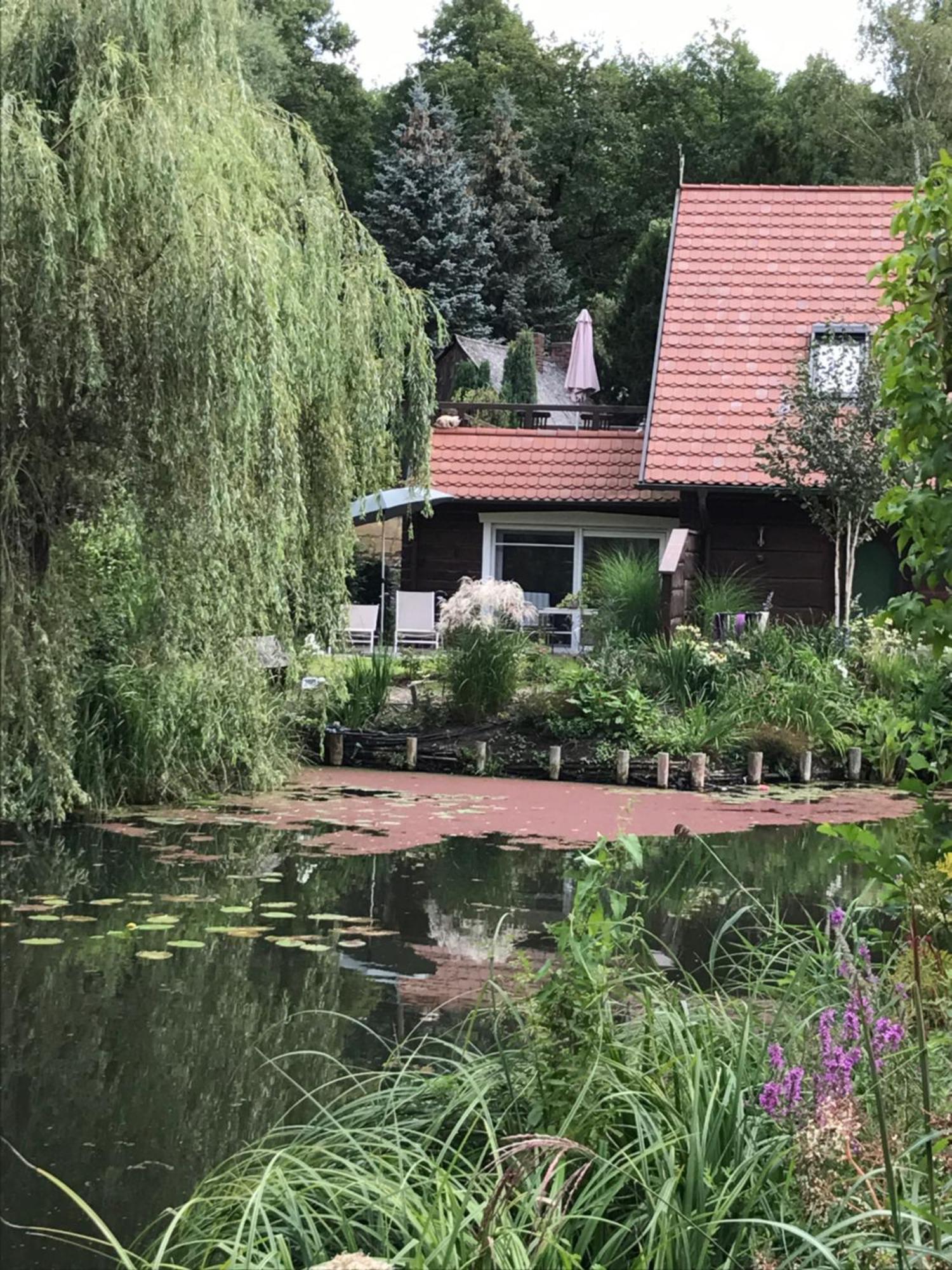 Ferienwohnungen Direkt Am Wasser Burg  Exteriér fotografie